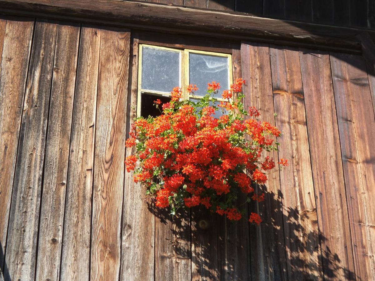 Ferienwohnung Steierhof Feldthurns Exterior foto